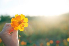 发现多处问题隐患 烟台两家化工企业被限时整改