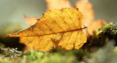 用行动践行企业家担当——记先锋化工有限公司